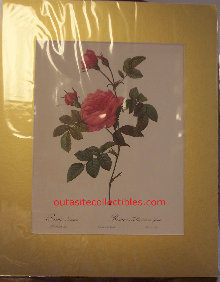vintage_lithographs_prints_antique_art_redoute_cazin_renoir_lithograph001012.jpg