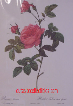 vintage_lithographs_prints_antique_art_redoute_cazin_renoir_lithograph001013.jpg