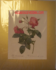 vintage_lithographs_prints_antique_art_redoute_cazin_renoir_lithograph001014.jpg